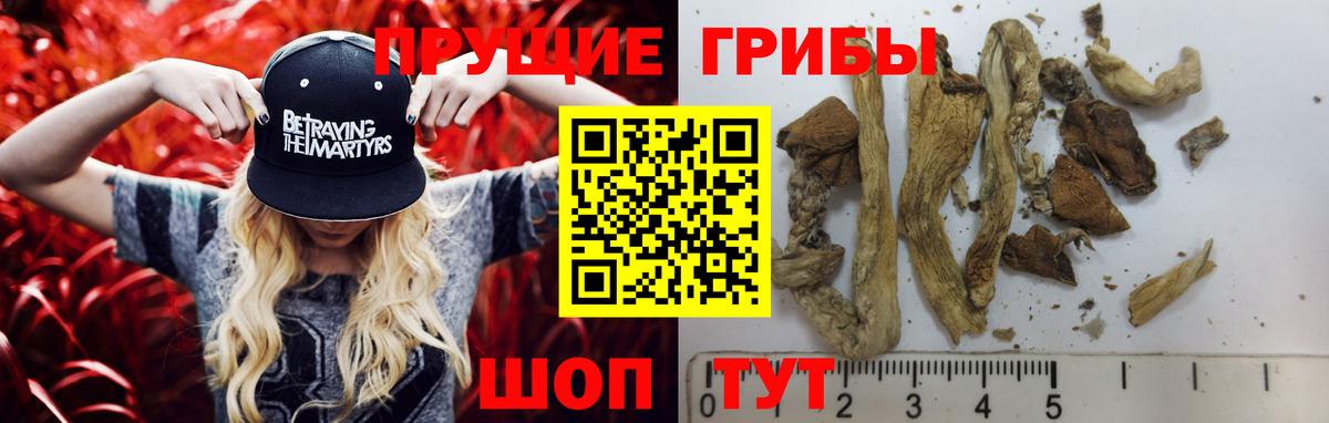 Галлюциногенные грибы ЛСД  Вход с VPN  Новый Уренгой 